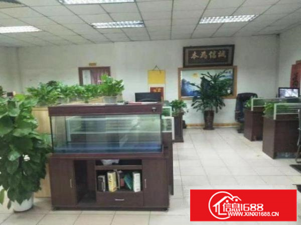 丹灶新农出租1000平方带装修厂房，免转让费