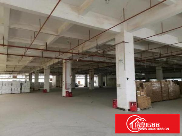 原房东厂房直租无公摊