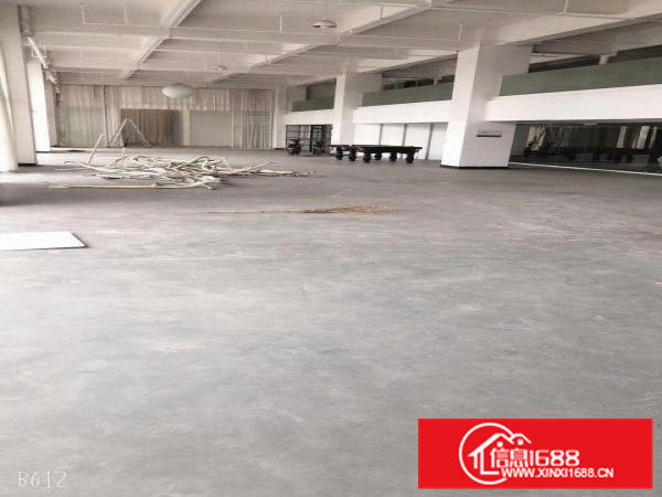 虎门新出一楼贸易厂房出租