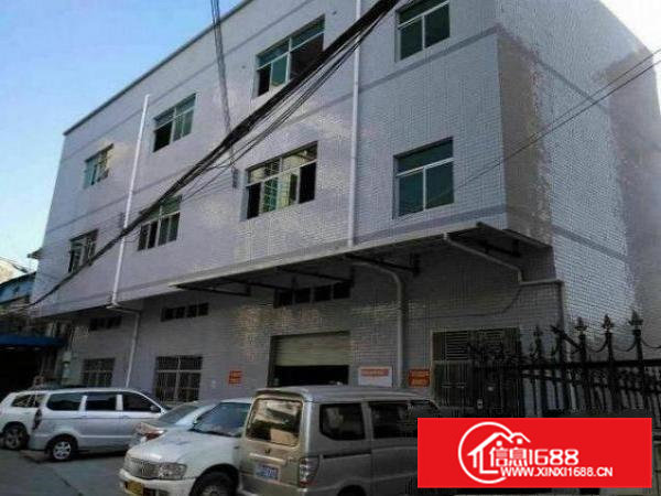 常平元江元一楼2000平米招租,可分租