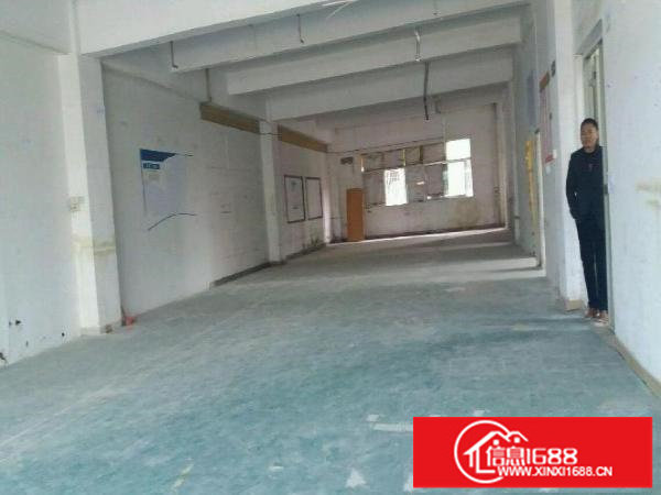 龙岗嶂背工业区爱联一楼厂房1000平米园区空地大