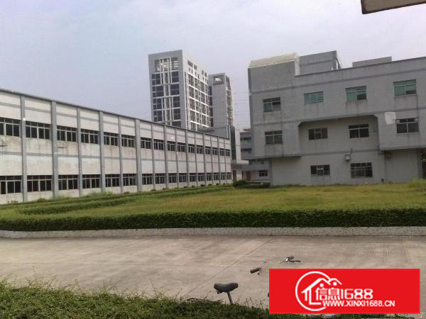 东坑标准空地超大厂房出租