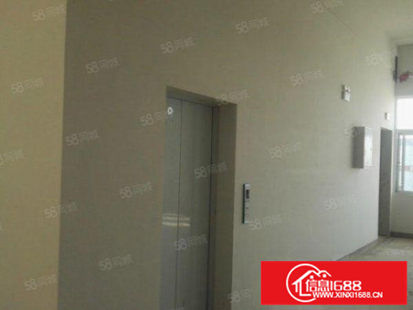 狮山全新工业园厂房招租，56000方，可分租，配套一应俱全