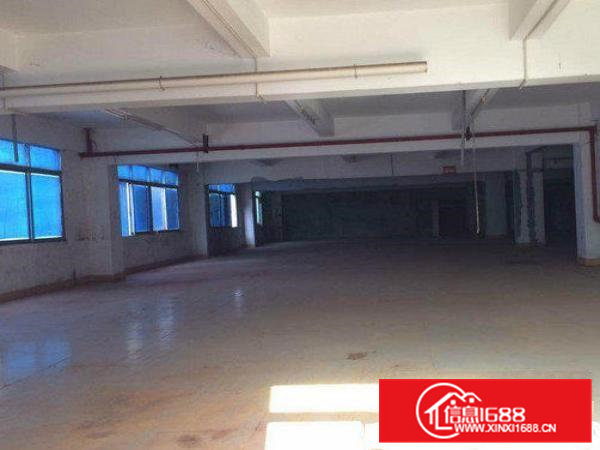 常平岗梓一楼550平厂房水电齐全，带装修