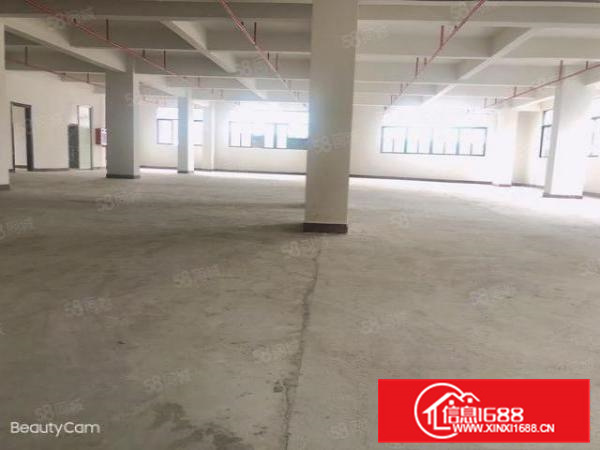 沙头社区全新工贸厂房，每层780平方