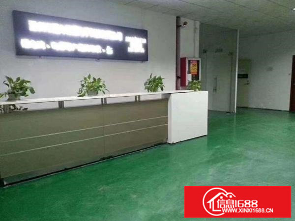 会展中心旁边新出1300平米带装修招租