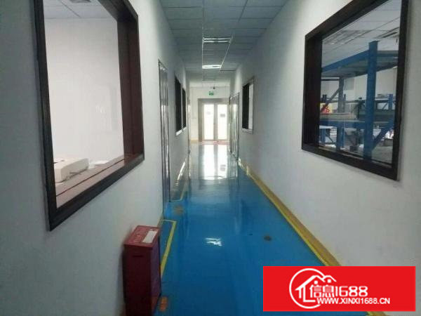 龙华清湖地铁口新出2400平厂房可分租