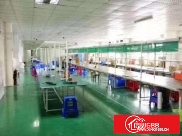 坑梓工业区原房东厂房800平出租可分租二楼