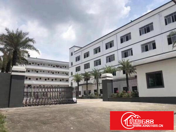 横岗原房东独院6000平米出租可大小分租带红本