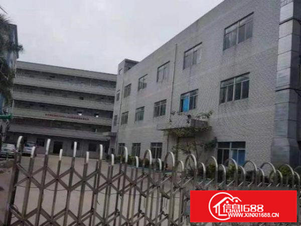 东莞桥头红本独门独院标准原房东高速路口花园式空地超大