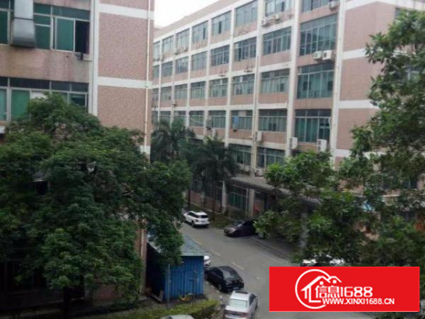 鹤洲恒丰工业城C5栋7楼2850平米厂房;可分租