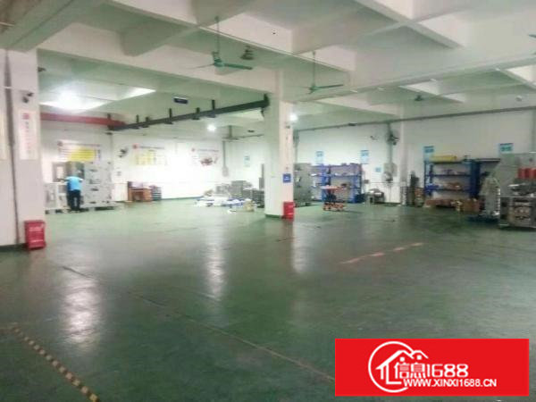 出租布吉百鸽笼标准厂房一楼760平，拎包入住