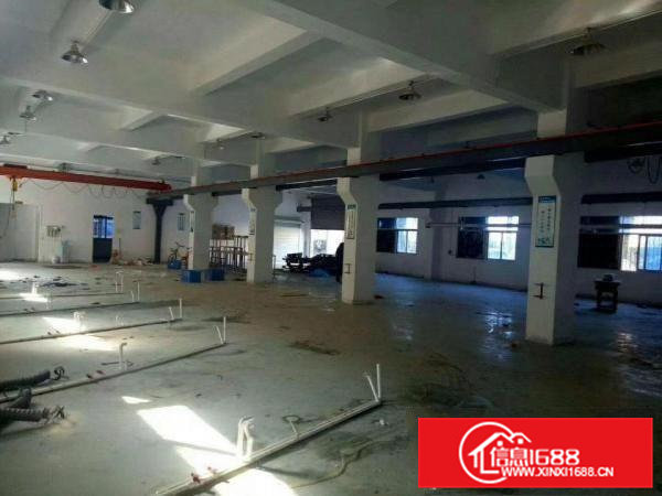 凤岗官井头6米高一楼厂房出租1000平近大运城邦