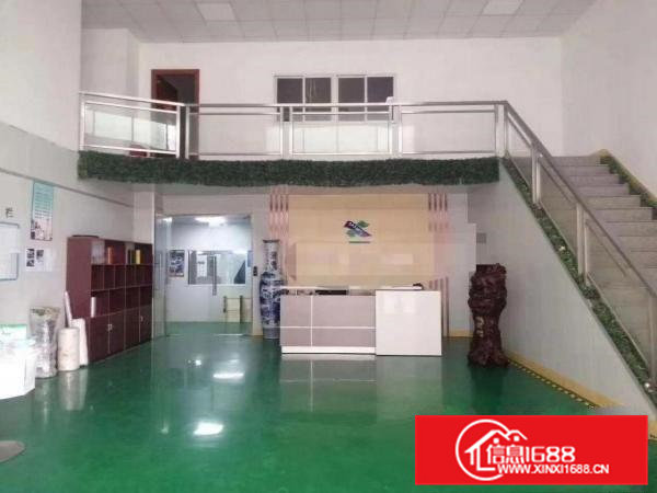 大岭山厚大路边大片美原房东1500平厂房出租带无尘车间