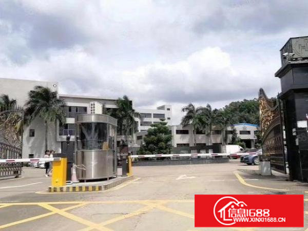 清溪高速口新出全新无尘车间700平，租金14元，无转让费!