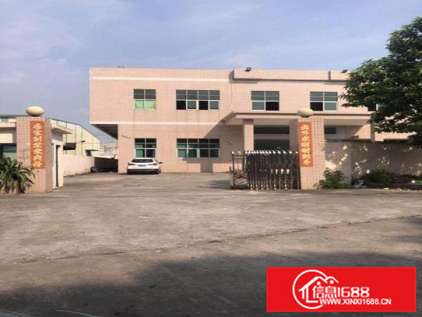 企石原房东独门独院厂房出租