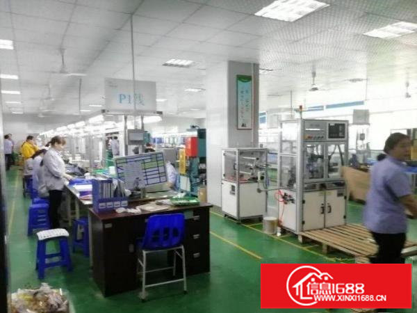 龙西原房东2楼整层1300平方带装修厂房出租