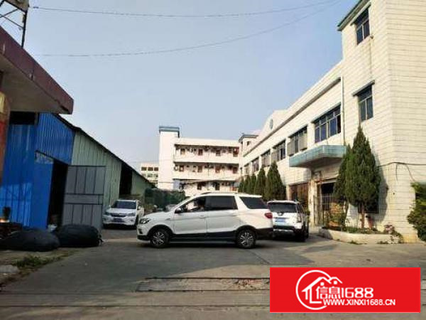 坂田江南大厦精装中、小型办公室