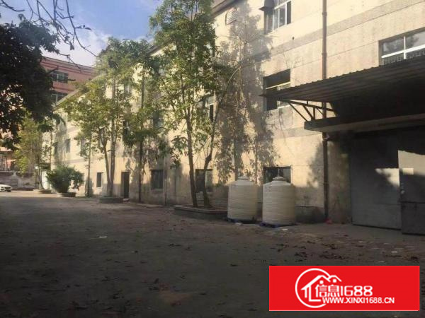 开新盘，深圳龙岗坪地中心社区嘉喜路可分组