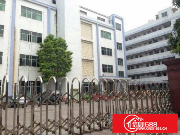 坑梓老坑新出原房东楼上带装修办公室600平方