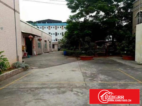 出租万江石美出租万江客运总站厂房仓库出租