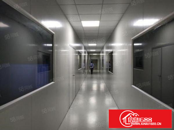 1300平楼上现成无尘车间，无需转让费，拎包入住