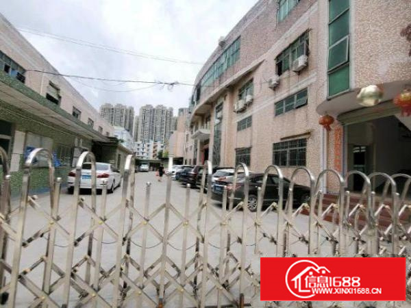 一楼5.5米高厂房出租后亭1300平