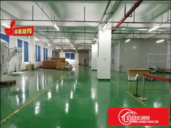 惠阳新墟10元全新1600平方出租（可做污染行业）