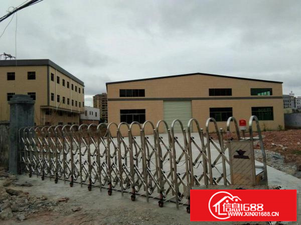 陈江大欣工业区新出钢构厂房独门独院2300平方招租