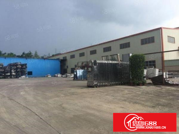 清溪九乡新空出原房东独门独院3000平超大空地可签2到8年