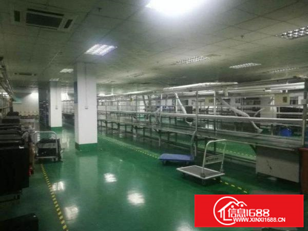 惠阳秋长维布新出独院钢构16000平，带红本，可分