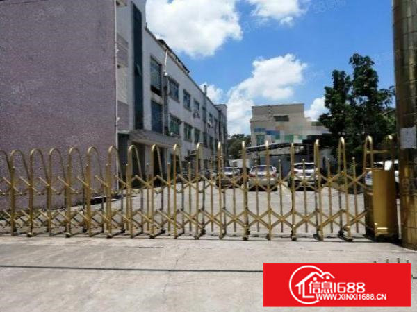 横沥镇新城工业区独门独院标准厂房4000平独立办公楼和变压器