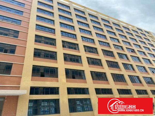 新厂房出租临近深圳招工方便环境优美