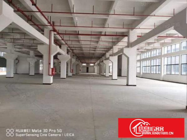 全新空出气派厂房，23000平方。