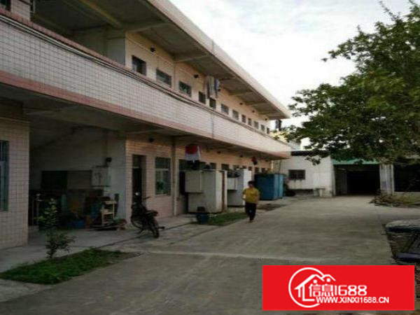 出租龙岗区宝龙新出独院单一层厂房1700平方米