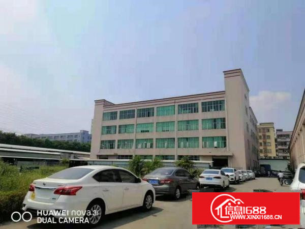 ~实拍！塘厦振兴围2800平米3至4F厂房，共5600平方~