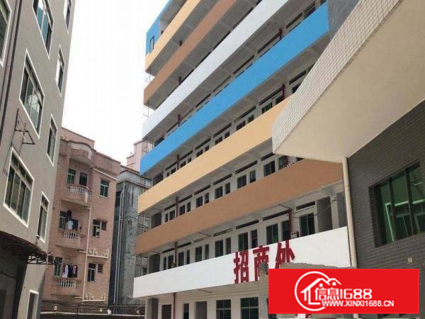 楼层:6m租金:24元