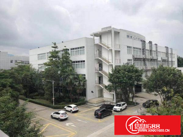 龙岗宝龙原房东花园式厂房15000平方，带消防喷淋，可分租