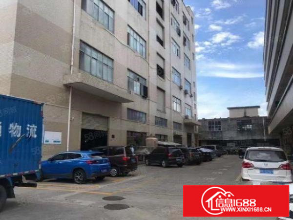 松岗松福大道旁地铁口附近一楼标准厂房900平层高6米