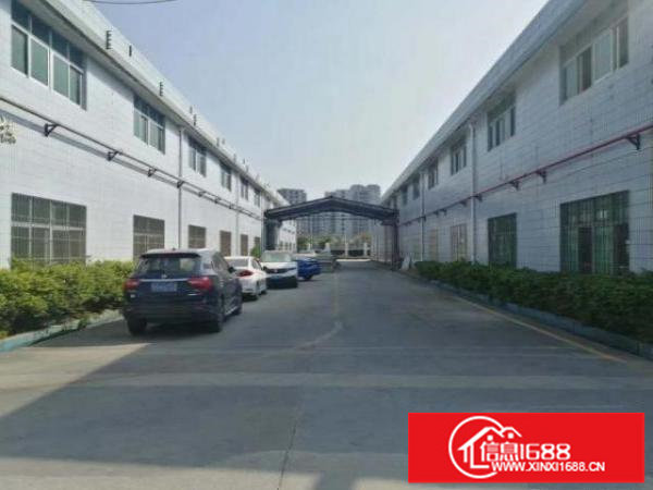 光明塘尾大型工业区8米高钢构厂房出租，空地超大