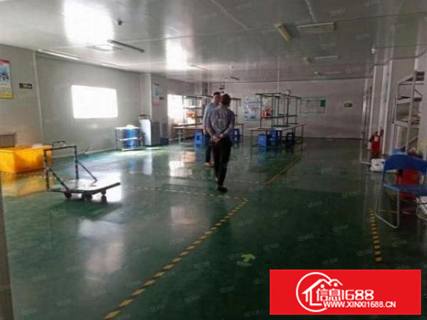 大岭山鸡翅岭村楼上精装修800平厂房原房东出租