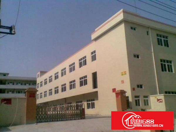 大岭山镇原房东独院单一层900平方招租