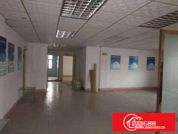 可办环评，大朗新出单一层钢构2500方，可分租，空地大