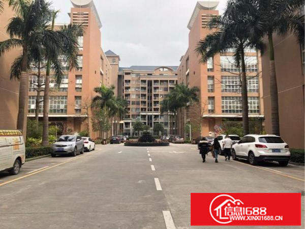 宝龙工业区智能工业园区红本厂房出租