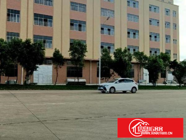 丹灶一到三层全新标准厂房4200方出租，可分租