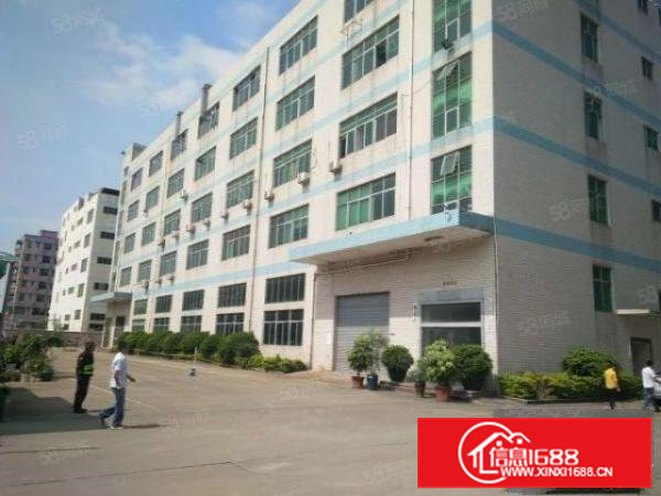 清溪镇三中村新空出豪华装修三楼1500平厂房出租！面积实在！