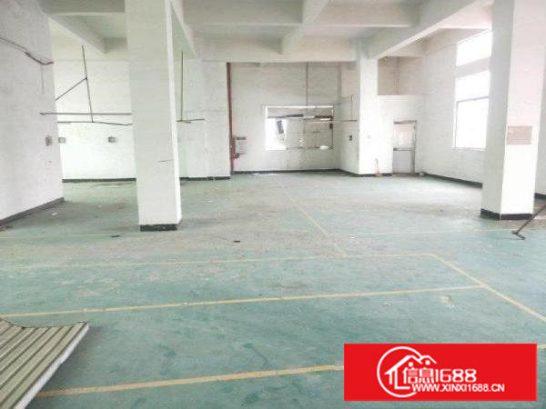 长安厦岗新出一楼350平带装修厂房招租