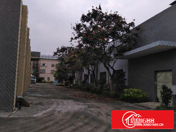 龙华大浪独门独院单一层厂房出租