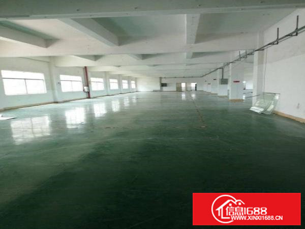 原房东独院标准厂房1层，1500平，高8米。合适五金模具等