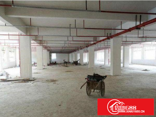 平湖新木村委楼上标准厂房500平形象好火热招租